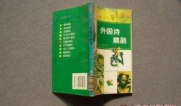 精品国产品,精品国产品引领消费新风尚