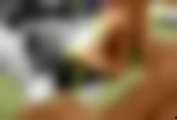 在线视频国产欧美,在线视频内容的风云变幻