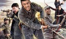 国产在观看,展现民族魅力与文化自信的窗口