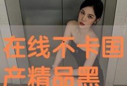 国产黑丝在线 色,探寻东方性感美学