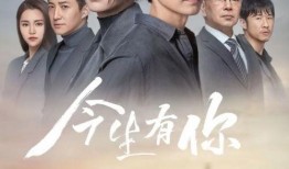 国产精品大陆在视频,影视盛宴，展现中国魅力