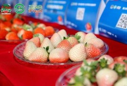 国产草莓在线,甜蜜滋味，绿色健康新选择