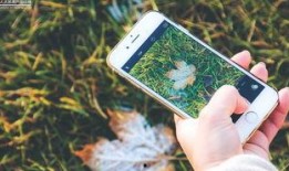 手机看片1024国产旧版,经典回忆，重温经典时光