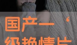 国产片一级,匠心独运，光影交织的视听盛宴