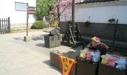 怡春院国产,探寻东方美学与时尚融合的传奇之旅